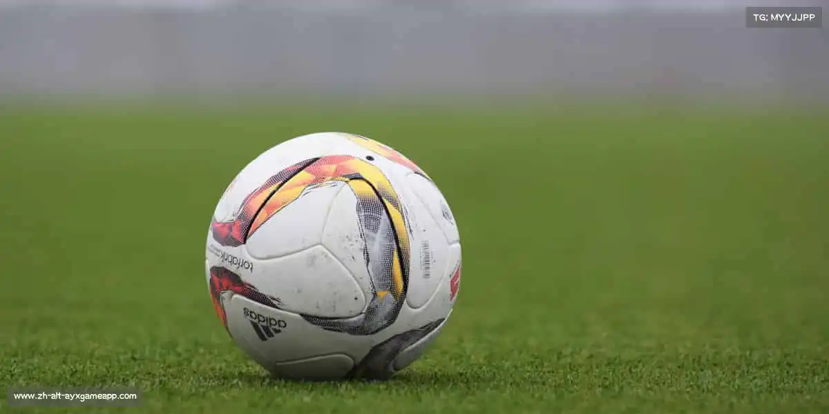 爱游戏官方首页——🏆体育精神,永不止步!